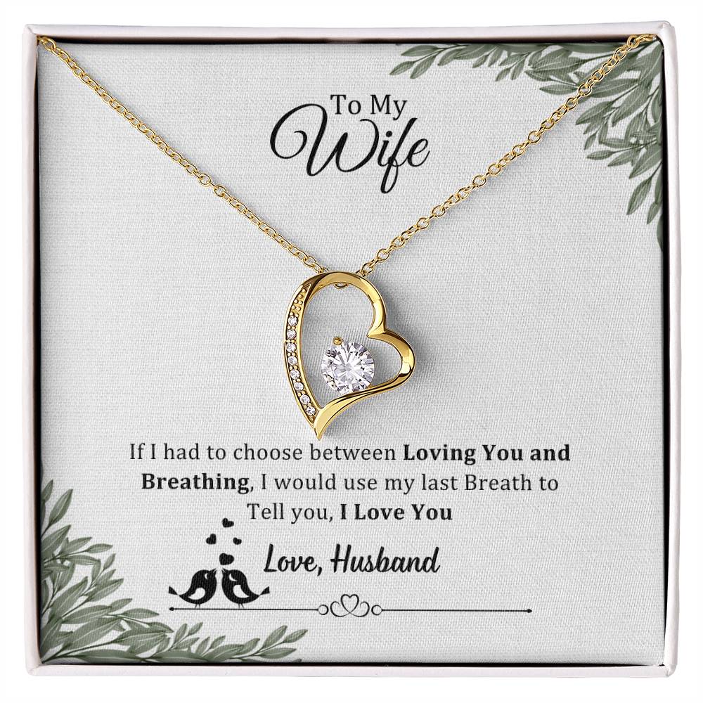 006 - TO WIFE FROM HUSBAND - FOREVER LOVE NECKLACE