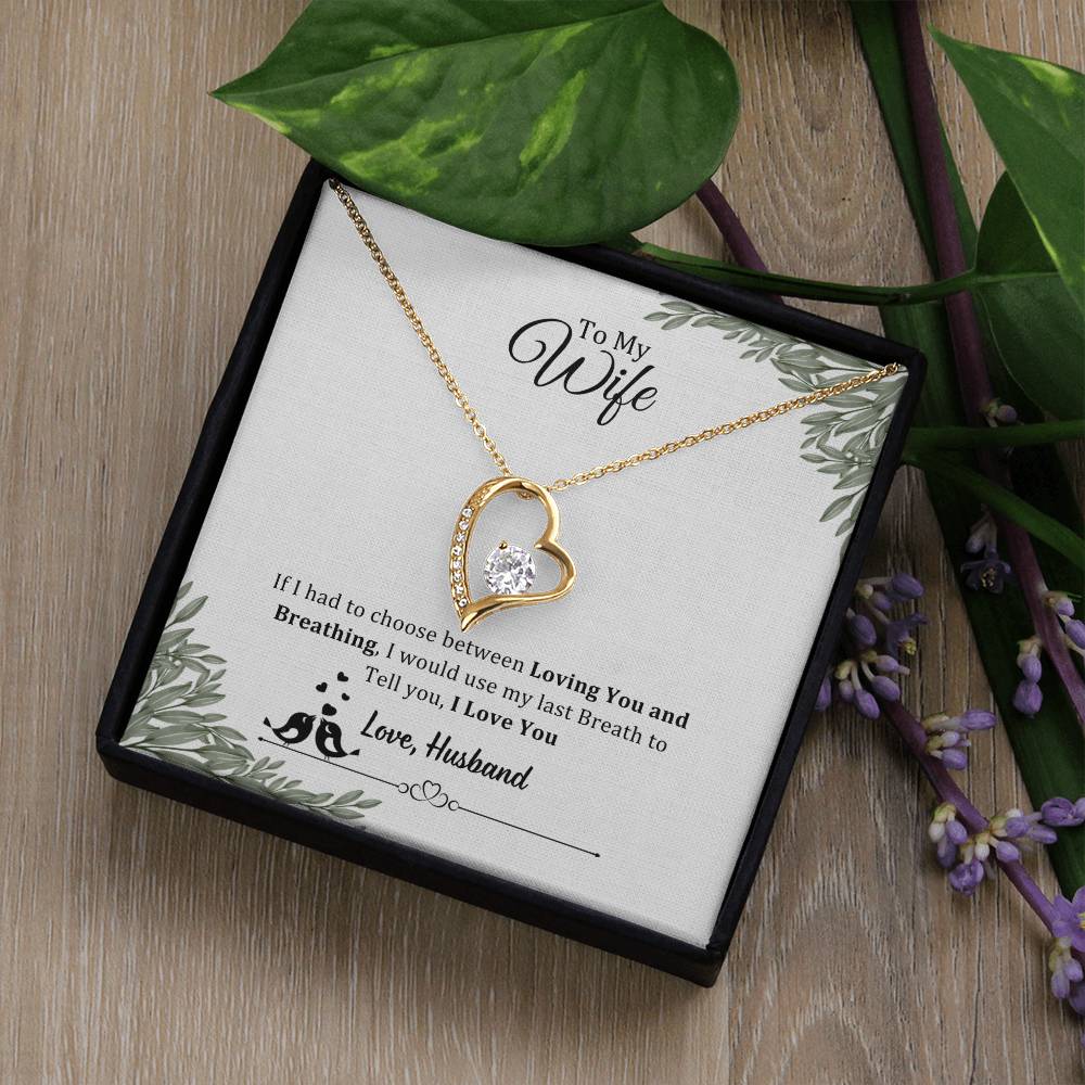 006 - TO WIFE FROM HUSBAND - FOREVER LOVE NECKLACE