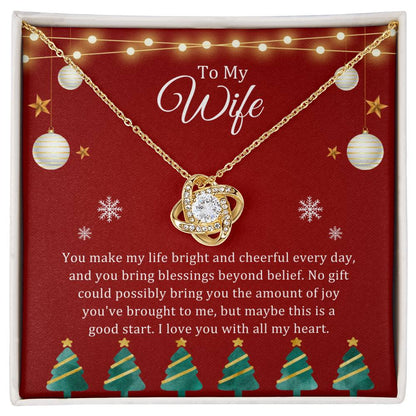 You make my life bright and cheerful every day, and you bring blessings beyond belief.