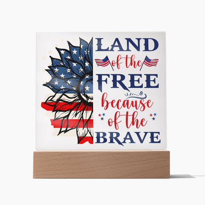 USA - Land of the free because of the brave