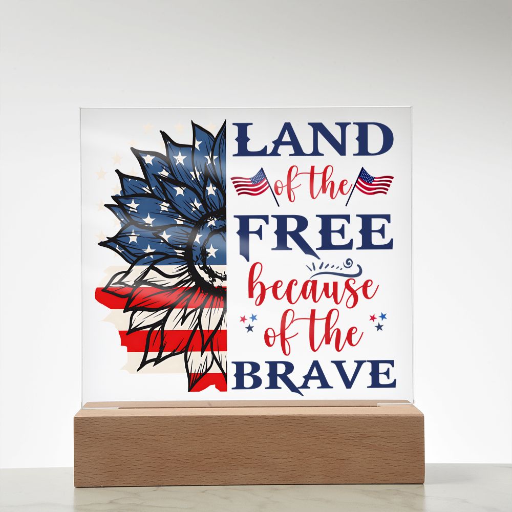 USA - Land of the free because of the brave