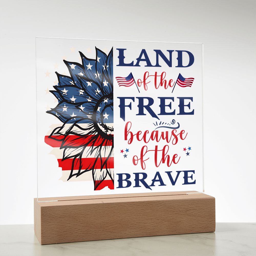 USA - Land of the free because of the brave