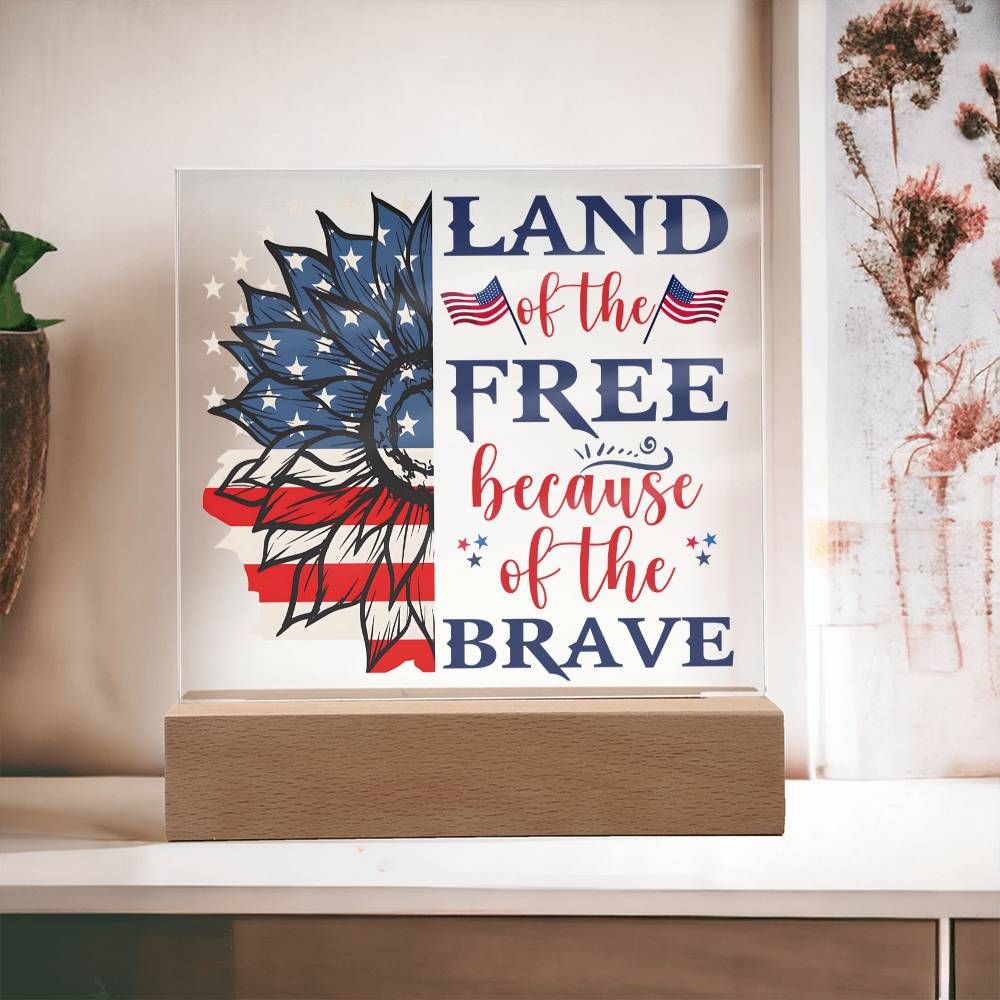 USA - Land of the free because of the brave