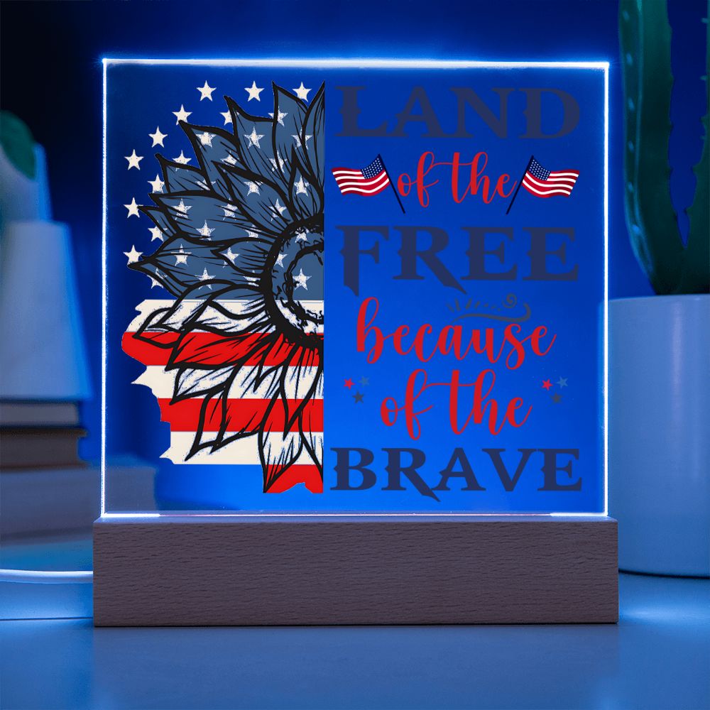 USA - Land of the free because of the brave