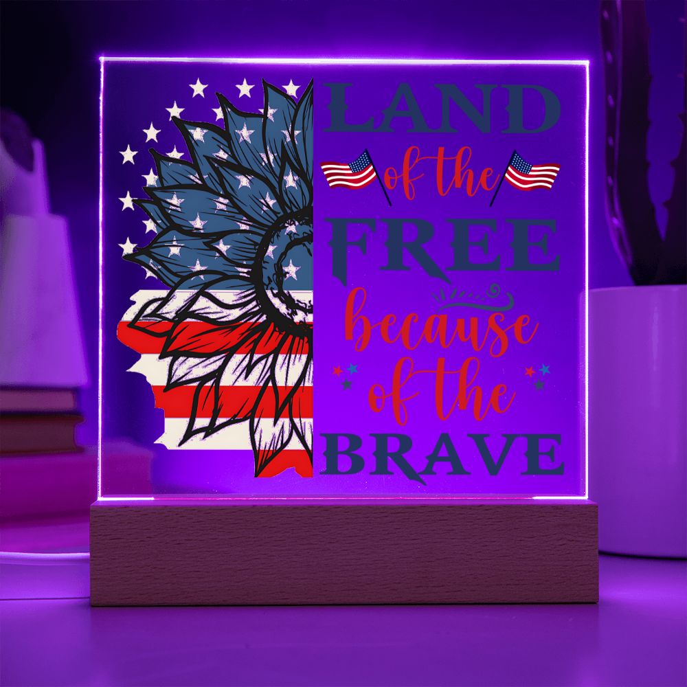 USA - Land of the free because of the brave