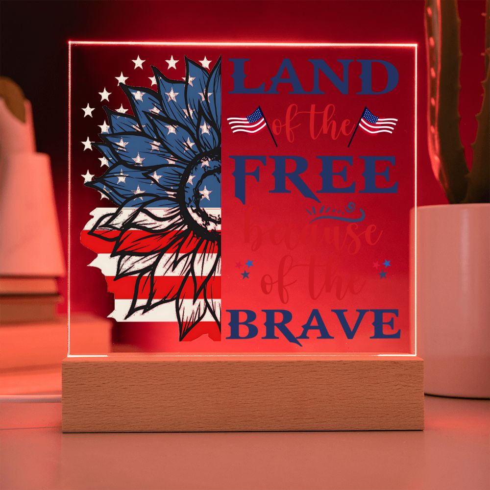 USA - Land of the free because of the brave