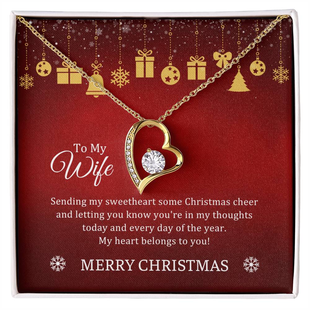 CHRISTMAS 001 - TO WIFE FROM HUSBAND - FOREVER LOVE NECKLACE