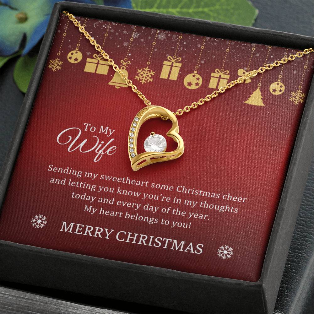 CHRISTMAS 001 - TO WIFE FROM HUSBAND - FOREVER LOVE NECKLACE