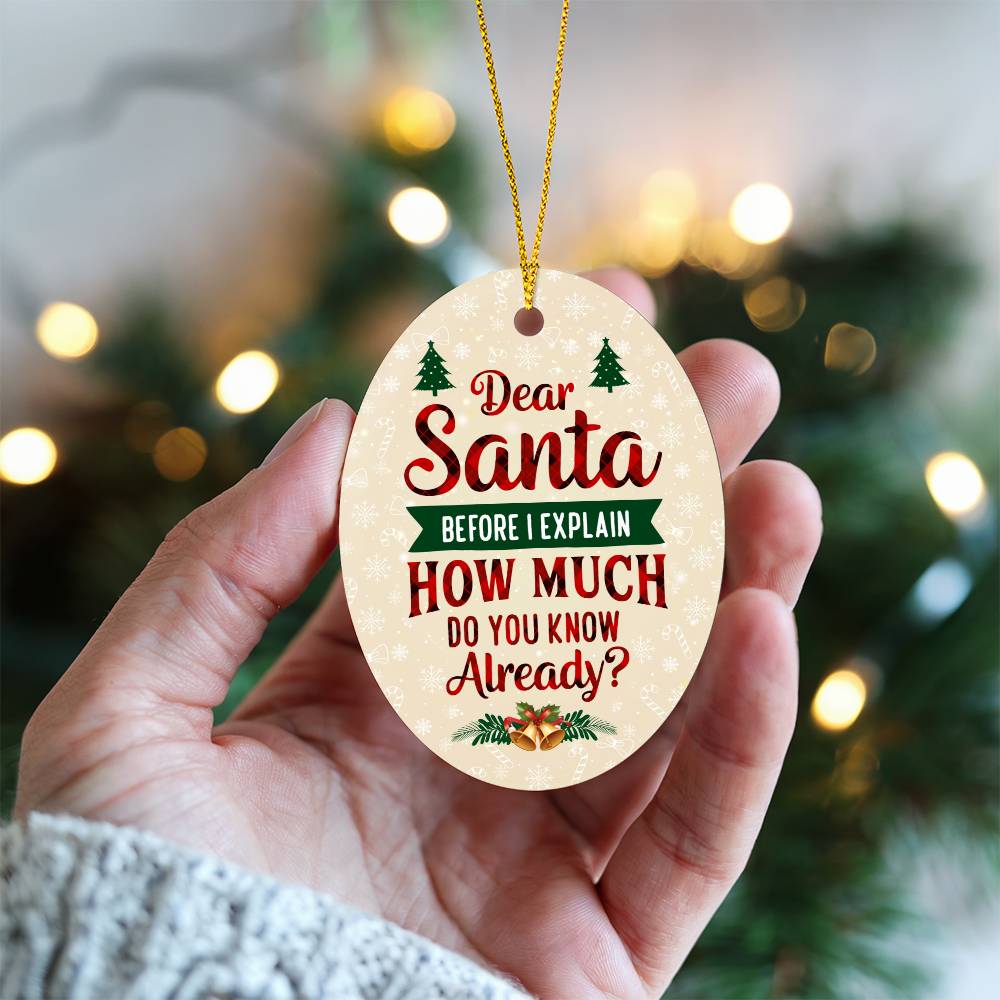 Christmas Gifts, Oval Ornament, Dear Santa Before I Explain How Much Do You Know Already