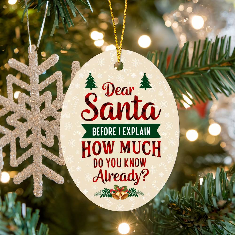 Christmas Gifts, Oval Ornament, Dear Santa Before I Explain How Much Do You Know Already